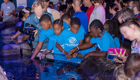 Kessil Lighting for Florida Aquarium Touch Pool