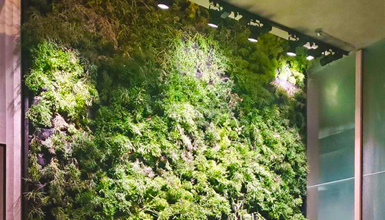 Kessil Lighting for Cascada Thermal Springs