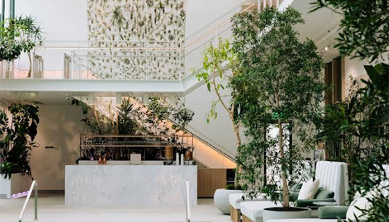 Kessil Lighting for Cascada Thermal Springs