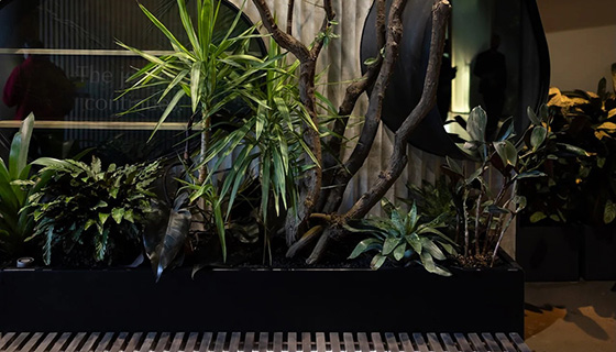 Kessil Lighting for Cascada Thermal Springs