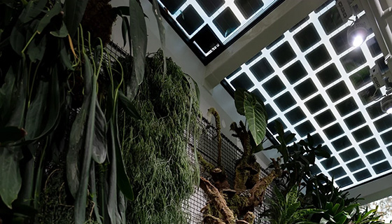 Kessil Lighting for Cascada Thermal Springs