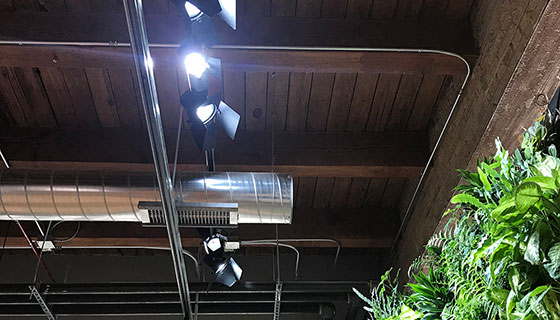 Kessil Lighting for Coates Headquarters