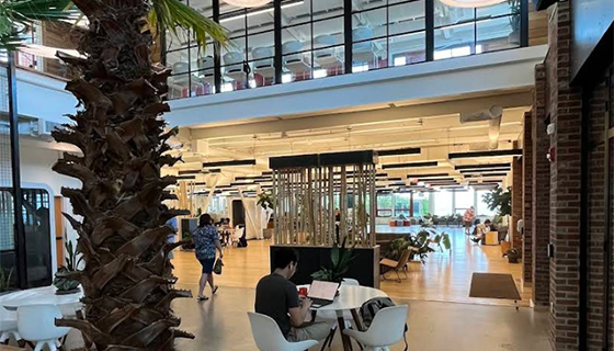 Kessil Lighting for Palm Trees at Hula Lakeside in Vermont