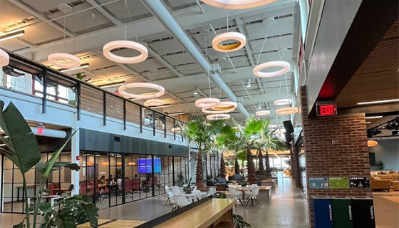 Kessil Lighting for Palm Trees at Hula Lakeside in Vermont