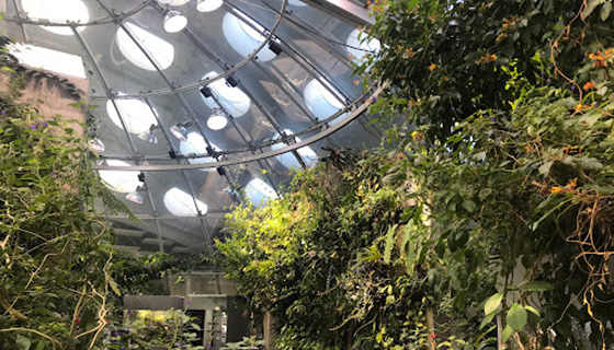 Kessil Lighting for Osher Rainforest Biodome