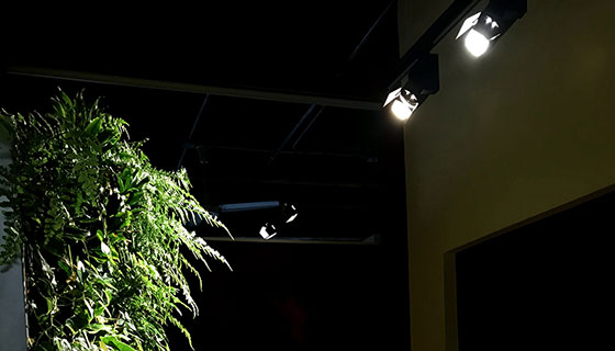 Kessil Lighting for Sage Greenlife Office