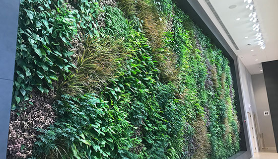 Kessil Lighting for Tishman Speyer Living Wall