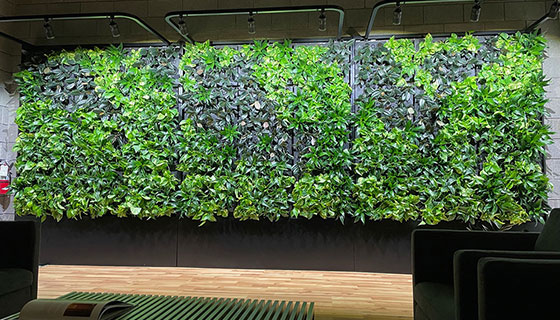 Kessil Lighting for Zauben Living Walls